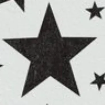 creator Thestarsandthemoon's avatar