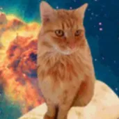 chat with ai character: Canlo