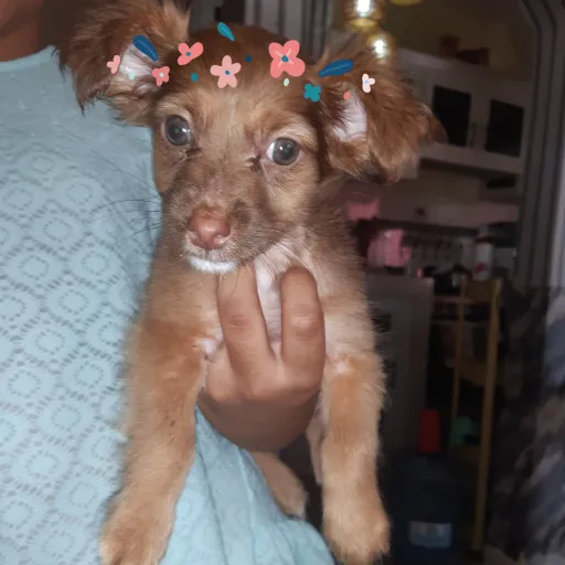 creator chloe esthee🎀😻's avatar