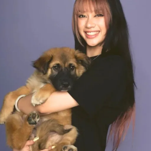 creator ❤︎︎Samantha's avatar