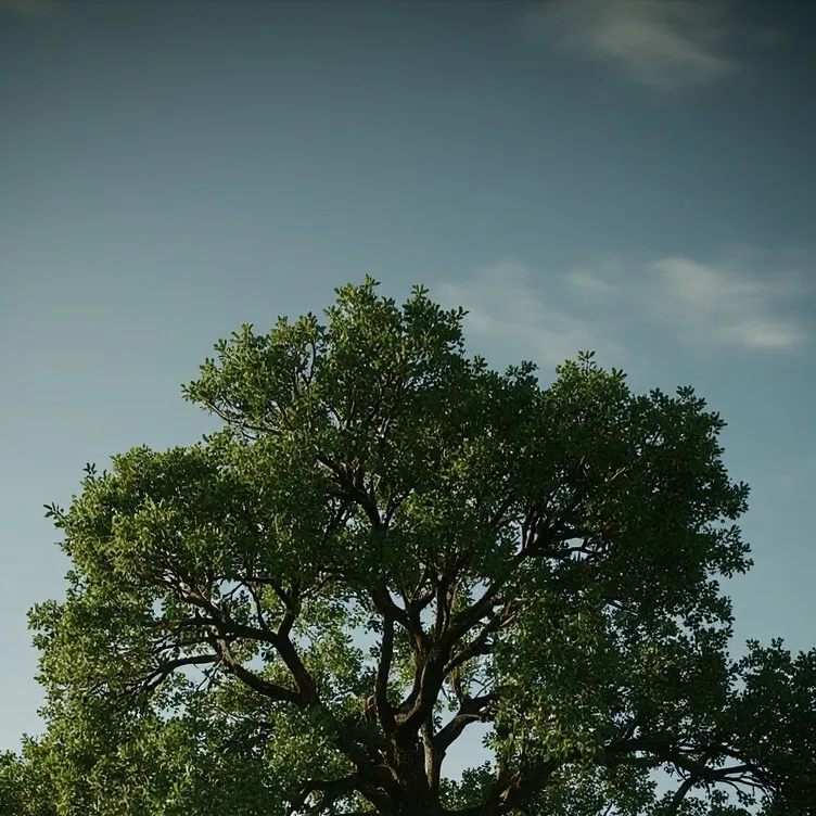 chat with ai character: Tree