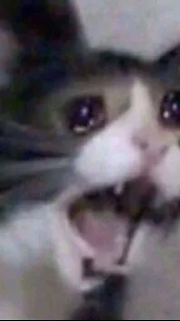 ai character: sad cat background