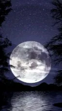 ai character: kai background