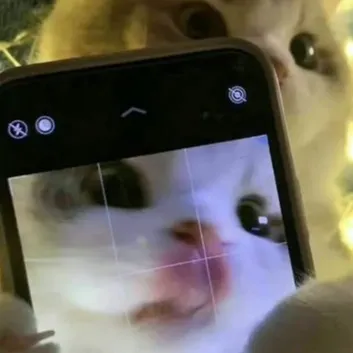 chat with ai character: Ideas