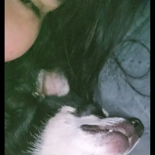 creator itsdanix's avatar