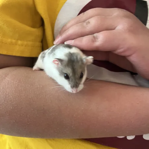 creator Talkior-8TYO2Fc5's avatar