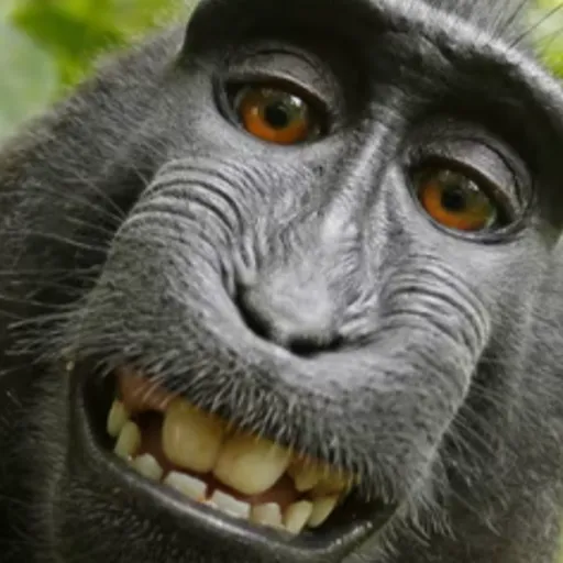 creator goofy monkey butt's avatar