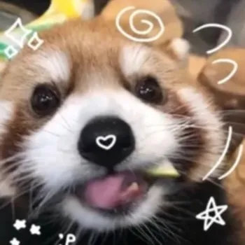 creator 分からない🍒's avatar