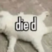 chat with ai character: Mha