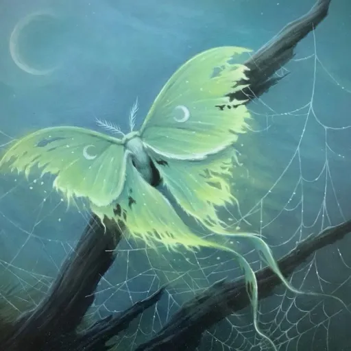 creator ✧interdimensional✧'s avatar