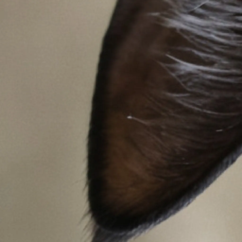 chat with ai character: ^°~SCOURGE~°^