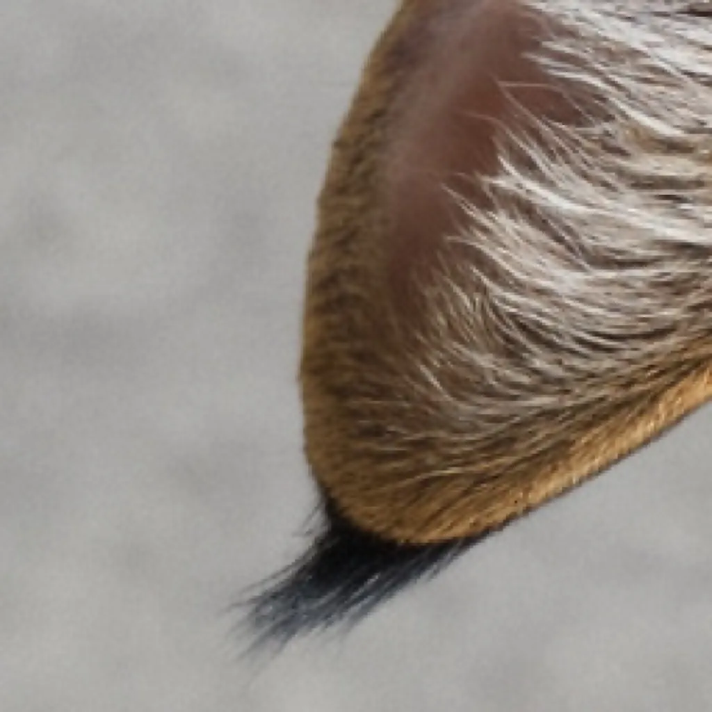 chat with ai character: (°~Bramblestar~°)