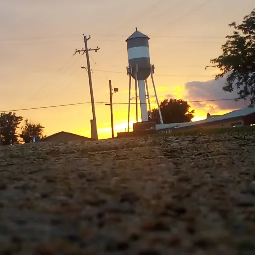 creator Loveyal225😍😍😍😍's avatar