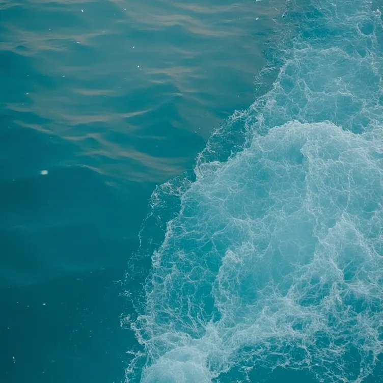 chat with ai character: Gracie's world 