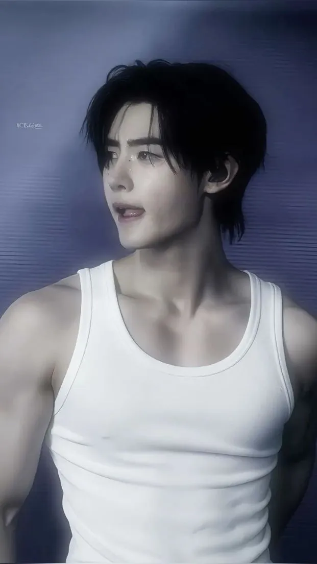 ai character: Sunghoon background