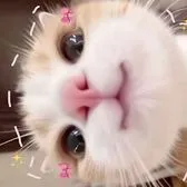 creator Jumpii's avatar