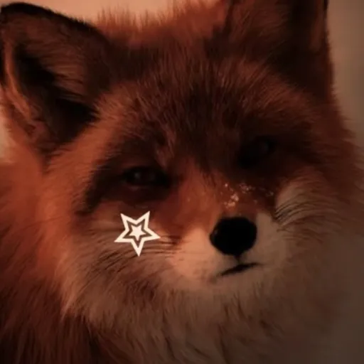 creator Ndnsnsbd's avatar