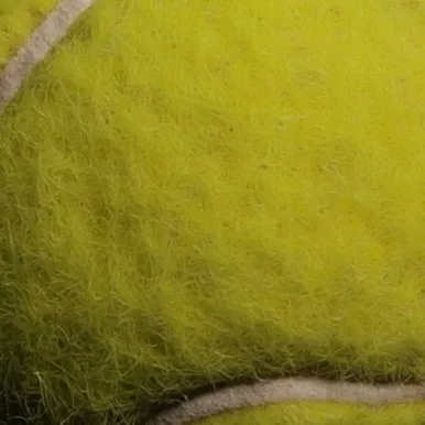 chat with ai character: Tennis ball BFDI •