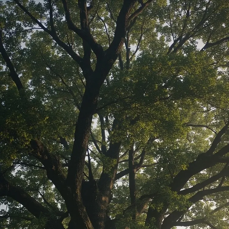 chat with ai character: FORSAKEN