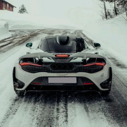 creator Vastitas's avatar