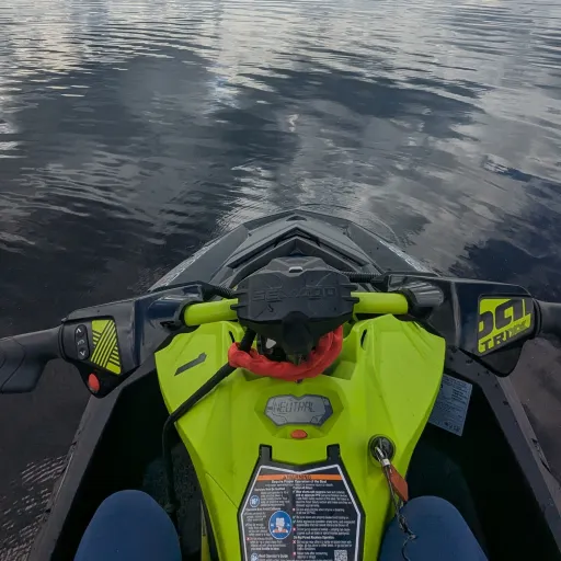 creator WildYan's avatar