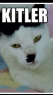 ai character: memes background