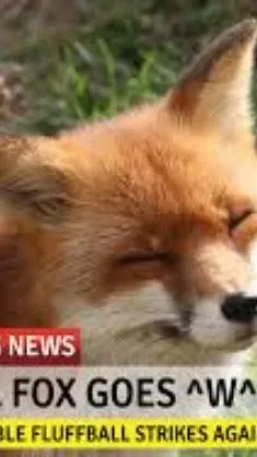 ai character: imgflip memechat background