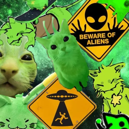 creator ★《☆sweet_stars☆》★'s avatar