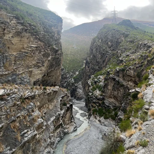 creator Seneen Wazir's avatar