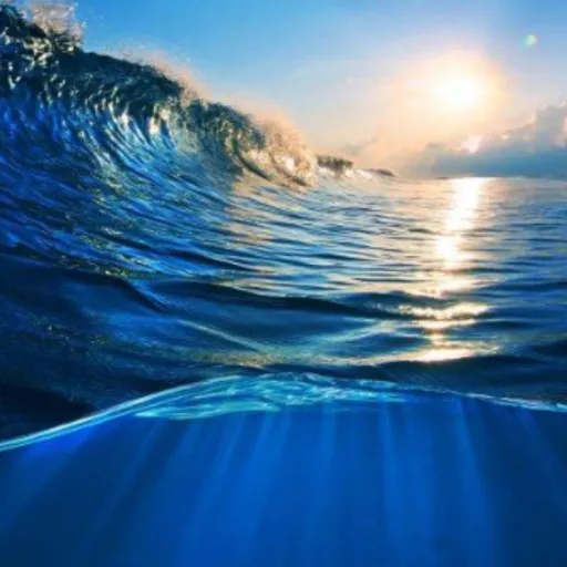 creator ScreamSoda1525's avatar