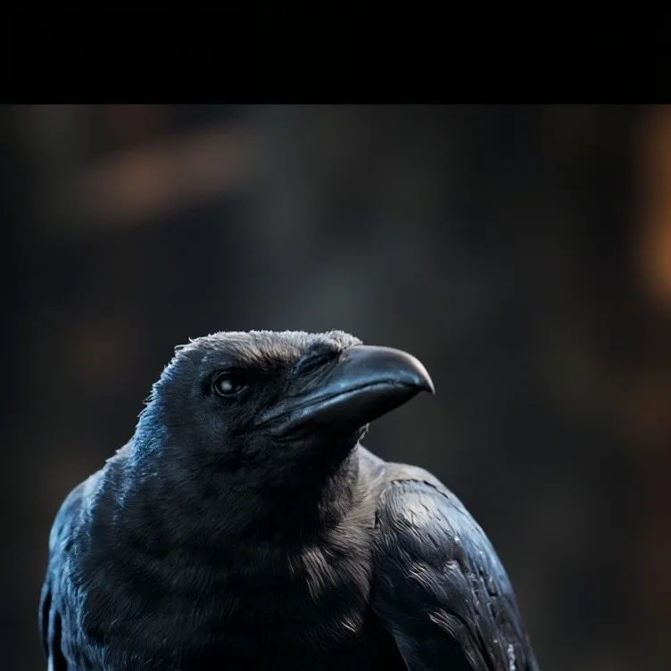 chat with ai character: Dumb bird