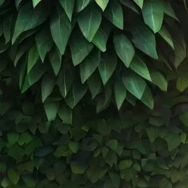 chat with ai character: image gen