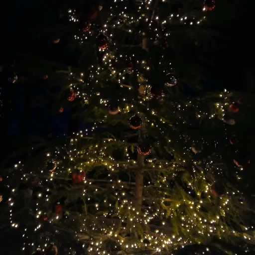 creator MVXM̶Ɇ LVTØUⱤ XMAS's avatar