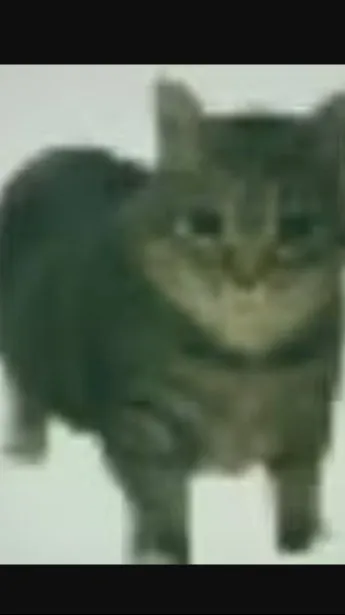 ai character: oiia oiia cat 2 background