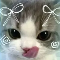 creator ෆ~𝚑𝚊𝚕𝚎𝚢-𝚌𝚑𝚊𝚗~ෆ's avatar