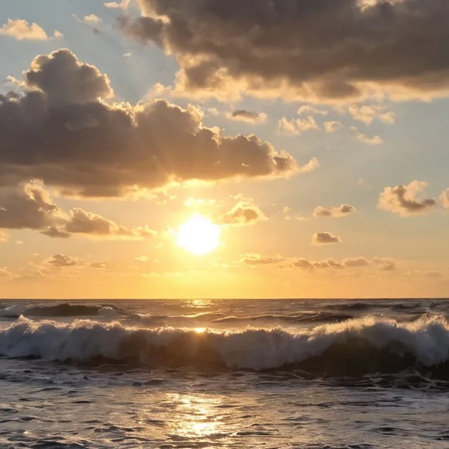 chat with ai character: Obx (lolll)