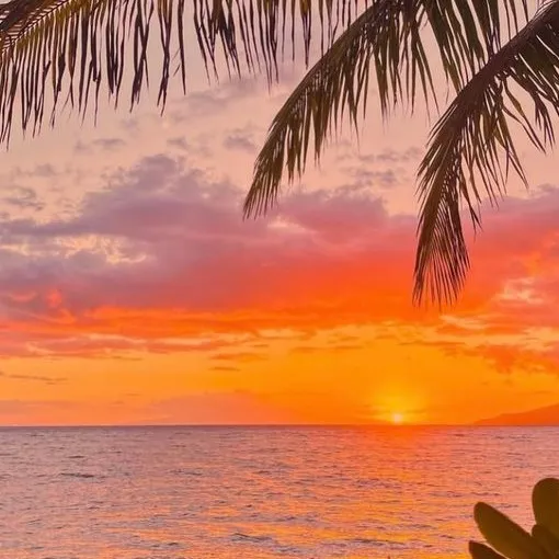 chat with ai character: MHA IN HAWAII