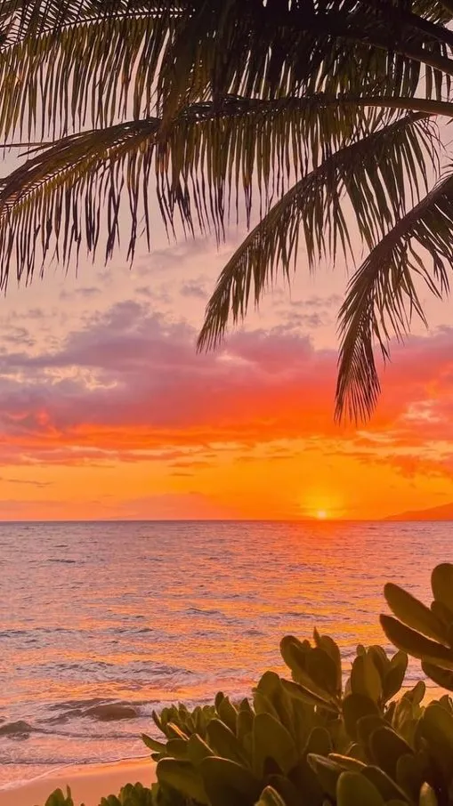 ai character: MHA IN HAWAII background