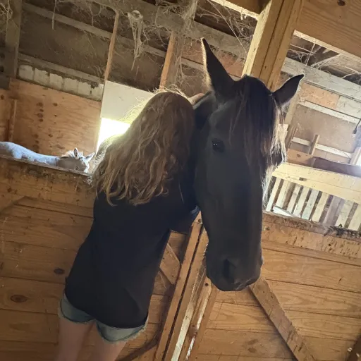 creator 💕~§igma_Nugg3t~🍗's avatar