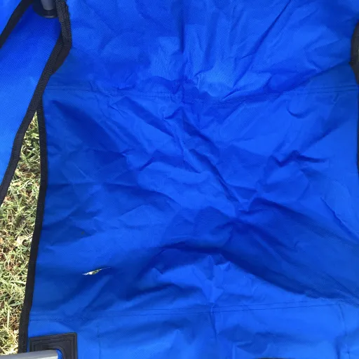 creator What if scenario?'s avatar