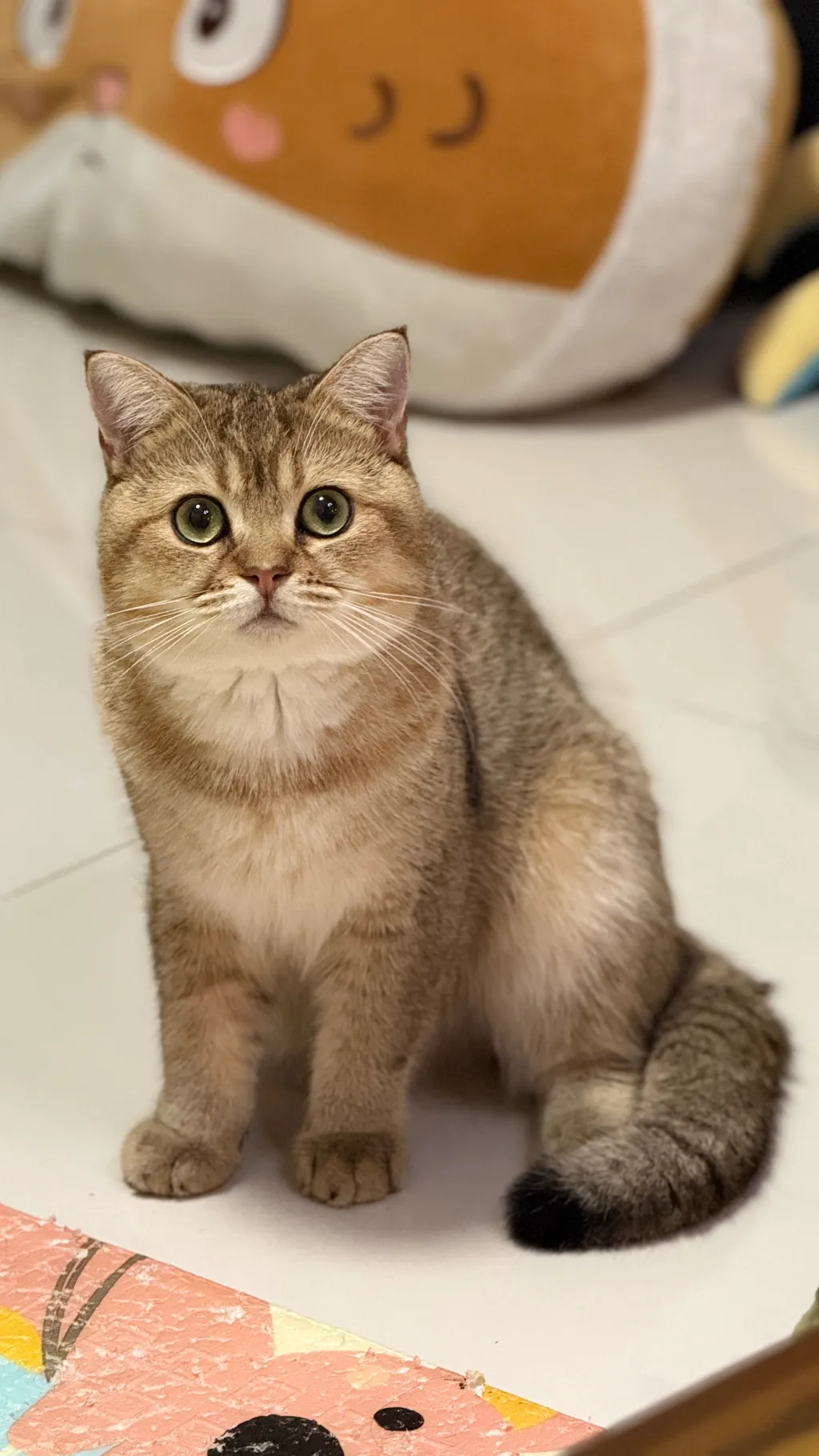 ai character: [Panther] background