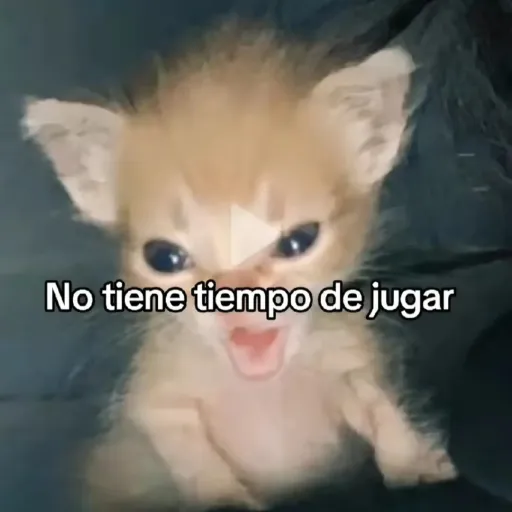 creator diana_2227's avatar