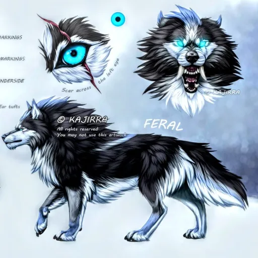 creator Jackson kent's avatar