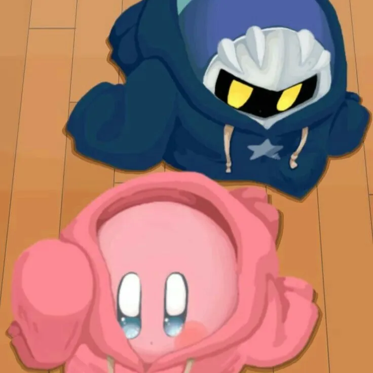 chat with ai character: Kirby & MetaKnight