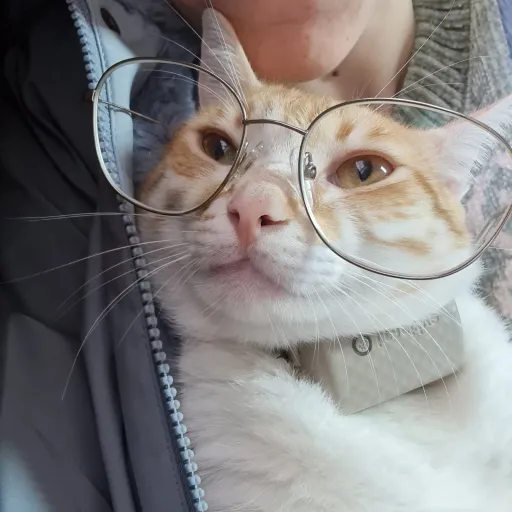 creator ALex zaDA's avatar