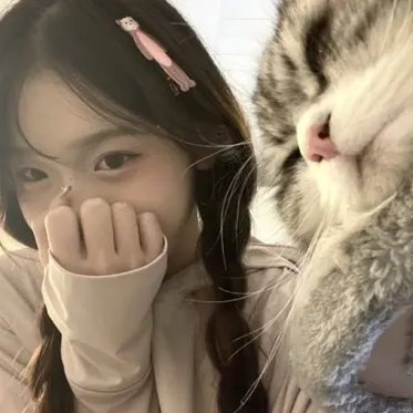 creator Se-yun's avatar