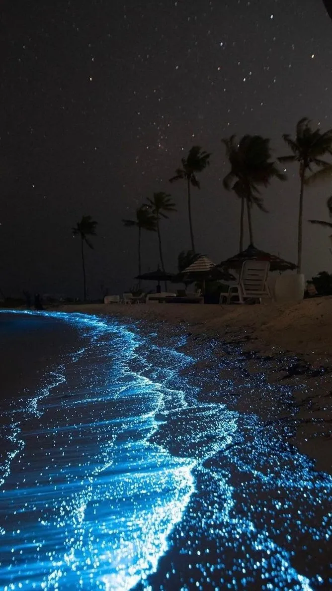 ai character: Age guesser background