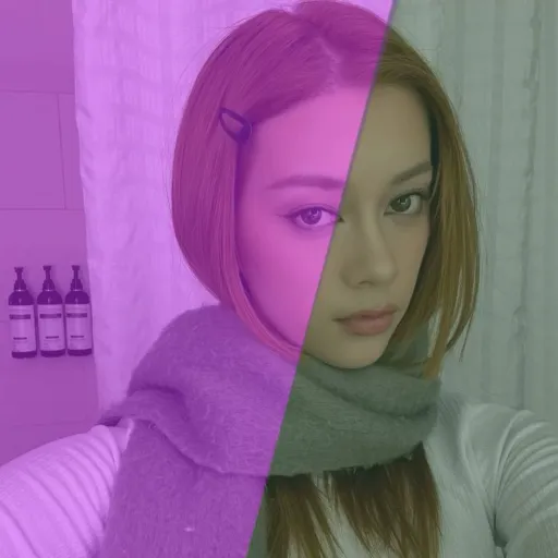 creator Dvcky🪿's avatar