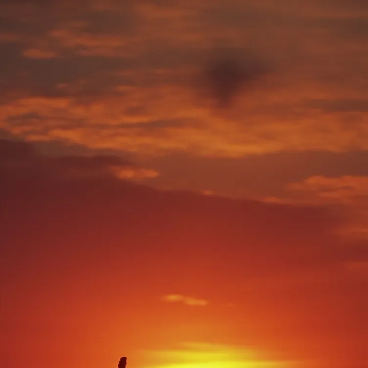 chat with ai character: Romance Saja