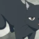 chat with ai character: kny cat